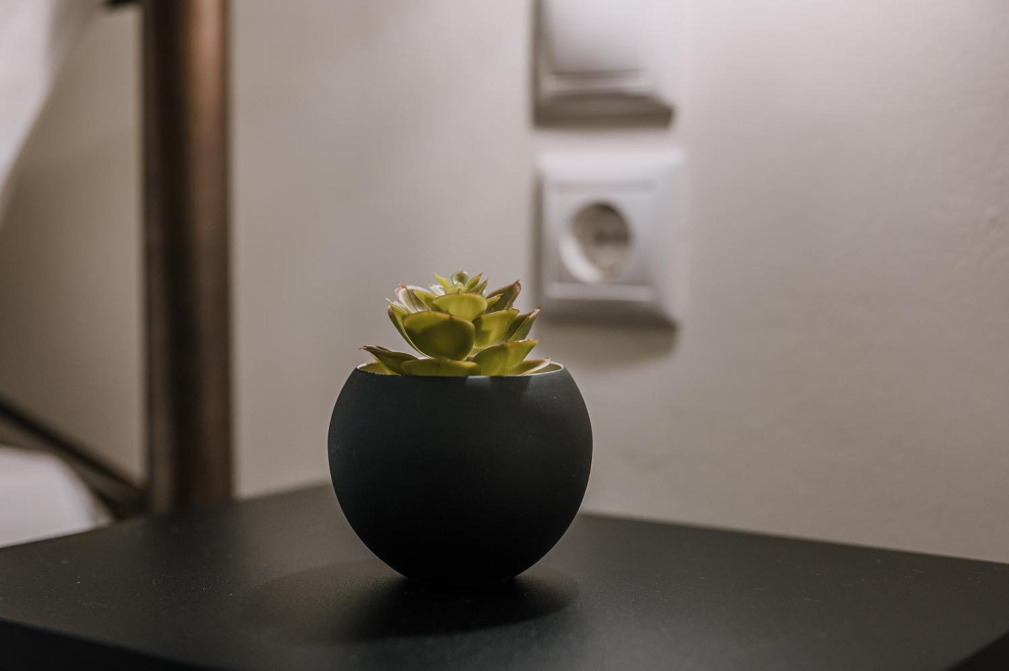Hb Modern Apartments 托隆 客房 照片